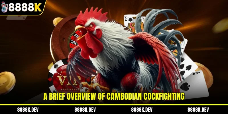 A brief overview of Cambodian cockfighting
